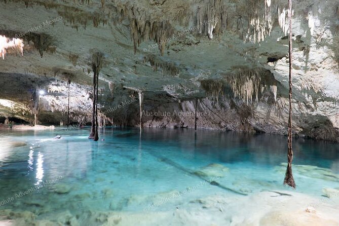 2 Cenotes Private Tour – VIP Adventure with Expert Guide - Price and value: is $185 per person worth it?