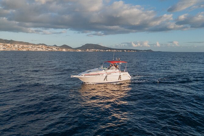 2 Hour VIP Private Luxury Sunset Boat Charter in Tenerife - What you’ll see: Tenerife’s coast and surrounding islands