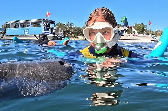 3 Hour Small Group Manatee Swim Heated Boats Free Photos All Inc - Safety and Manatee Manners: What the In-Water Guide Is Really Doing