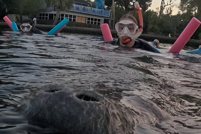 3 Hour Small Group Manatee Swim Heated Boats Free Photos All Inc - Price and Value: What $75 Really Buys You in Practice