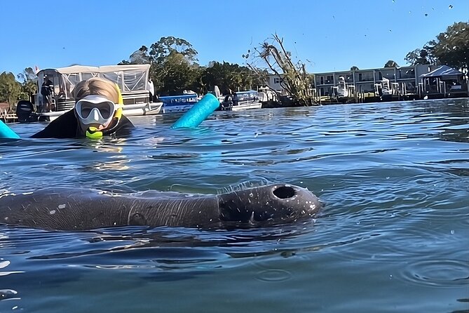 3 Hour Small Group Manatee Swim Heated Boats Free Photos All Inc - Who This Tour Fits Best (and Who Might Want a Different Option)