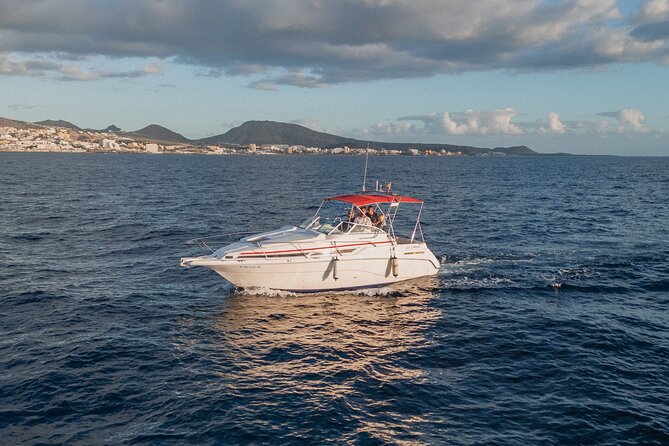 3 Hour VIP Private Luxury Boat Charter in Tenerife - Who should book this Tenerife luxury boat charter—and who might prefer something else