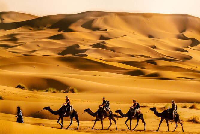 4 Days Sahara Desert VIP Private Tour from Marrakech & Luxuy Camp - Day 2 Merzouga Through Toudra Gorge: Monkeys Fingers, Then Erg Chebbi at Sunset