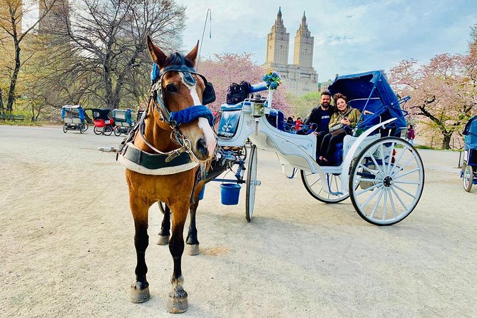 45 min Long VIP Central park carriage ride - A 45-Minute Private Carriage That Hits Central Park’s Best Moments