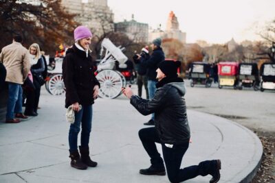 45 min Long VIP Central park carriage ride - Bethesda Terrace, the Ice Rink Area, and Early Big-Name Views