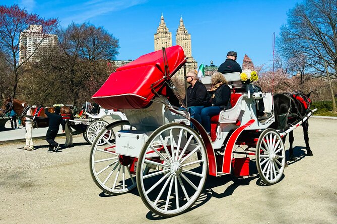 45 min Long VIP Central park carriage ride - Cherry Hill Photo Stop: the One Moment You’ll Actually Walk Around