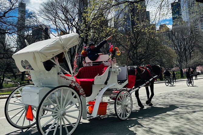 45 min Long VIP Central park carriage ride - Strawberry Fields and Sheep’s Meadow: Classic Central Park Vibes From the Carriage Seat