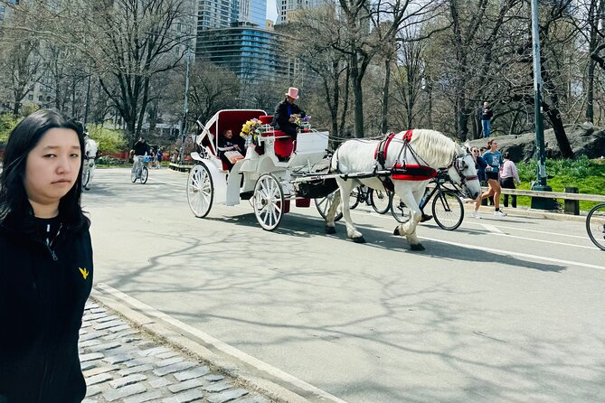 45 min Long VIP Central park carriage ride - Winter Comfort: Warm Blankets Make the Ride Feel Worth It