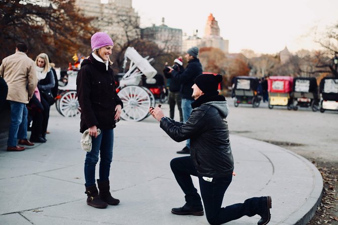 45 min Long VIP Central park carriage ride - Bethesda Terrace, the Ice Rink Area, and Early Big-Name Views