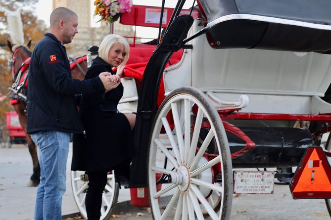 45 Minute VIP Central Park Carriage Ride - A VIP Central Park Carriage Ride That Works for Real Schedules