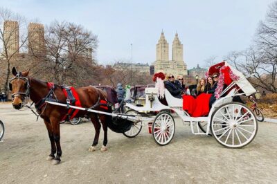 45 Minute VIP Central Park Carriage Ride - Lower Loop Highlights: Ice Rink to Tavern on the Green