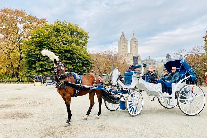 45 Minute VIP Central Park Carriage Ride - Should You Book This 45-Minute VIP Central Park Carriage Ride?