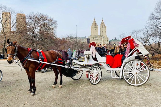 45 Minute VIP Central Park Carriage Ride - Lower Loop Highlights: Ice Rink to Tavern on the Green