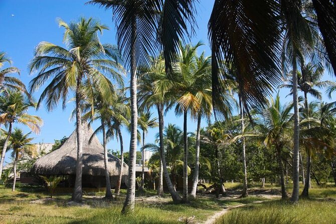 5 Islands VIP Escape : Snorkeling, Private Lunch & Open Bar - Bocachica forts: the calm, history-tinged opener