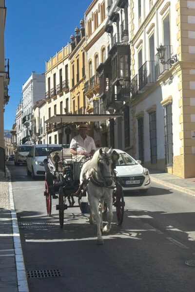 ab Marbella: Private VIP-Tour Ronda incl. Transfer + Tapas - Marbella to Ronda Transfer: Comfortable Ride, Less Hassle
