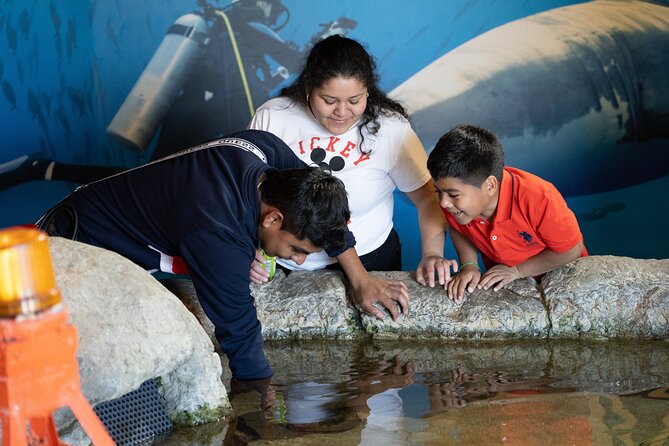 Aquarium of the Bay VIP Experience - Logistics that can trip you up (and how to avoid it)