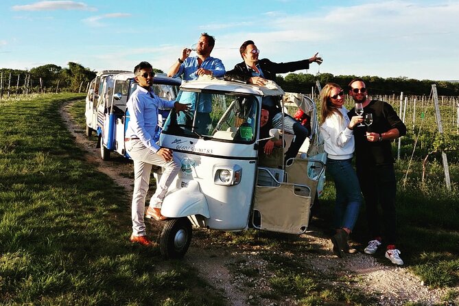 Best of Vienna Tour in TUK TUK! - Weather Rule: The Only Big Calendar Risk