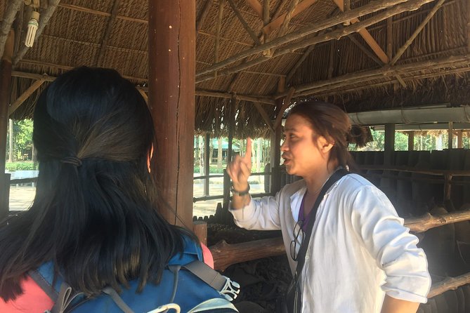 BIG BOSS Private LIMOUSINE To Cu Chi Tunnels and Mekong delta - Lunch by the river: what tastes like southern Vietnam