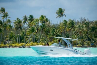 Bora Bora VIP Arrival Airport to Hotels Transfer - Champagne, Macarons, and Fruit: What’s Included on the Boat