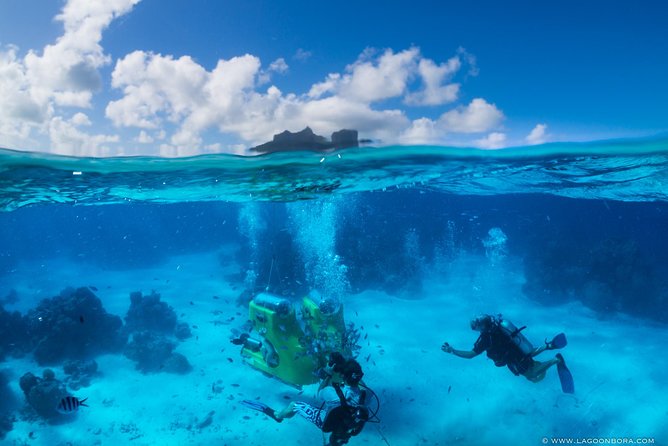 Bora Bora VIP Arrival Airport to Hotels Transfer - Price and Value: Is $230.71 Per Person Worth It?