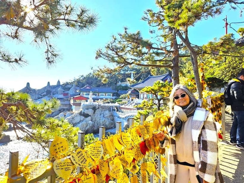 Busan: Cruise Port – Premium Small Group Tour (Max 6 Guests) - BIFF Square and Gukje Market: movies and everything in-between