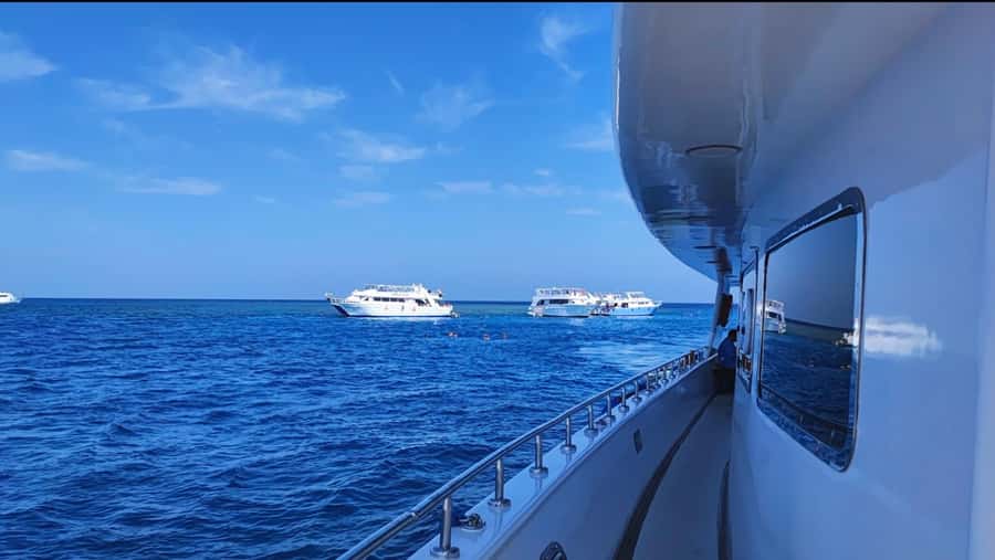 Cairo to Red Sea: VIP Yacht Cruise, Snorkeling & Lunch - Price and logistics: is $44 good value?