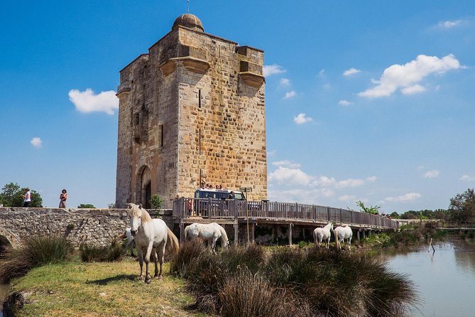 Camargue 4x4 Safari VIP Tour - The Four-Hour Flow: From City Roads to Wildlife Spotting