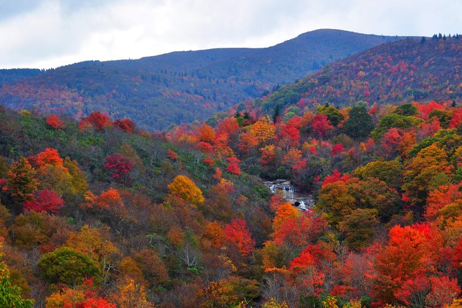 Carolina Waterfalls and Highlands Private VIP Boutique Tour - Bridal Veil Falls: the 120-foot curtain and a rare angle