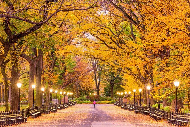 Carriage Ride in Central Park (VIP - PRIVATE) Since 1964™ - Key things that make this VIP Central Park carriage ride worth it
