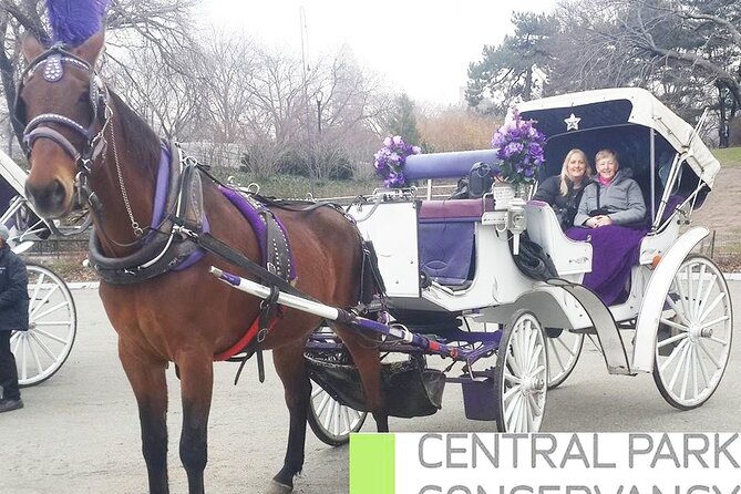 Carriage Ride in Central Park (VIP - PRIVATE) Since 1964™ - Cold-weather strategy: blankets are great, but plan like a New Yorker