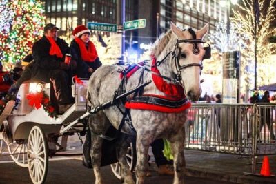 Carriage Ride in Central Park (VIP - PRIVATE) Since 1964™ - Your 50-minute route: from Wollman Rink to Strawberry Fields