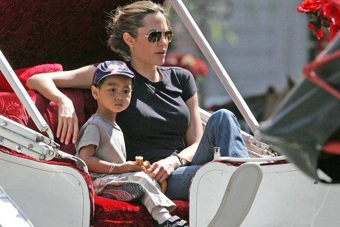 Carriage Ride in Central Park (VIP - PRIVATE) Since 1964™ - Wheelchair access and getting in: what you should know before you arrive