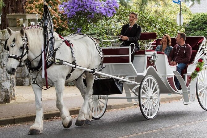 Carriage Ride in Central Park (VIP - PRIVATE) Since 1964™ - Where to meet and how to time your ride