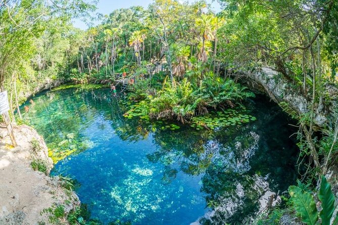 Cenotes Taak Bi Ha & Nicte Ha – VIP Snorkeling Private Tour - Nicte Ha + Taak Bi Ha: two cenotes, different water moods