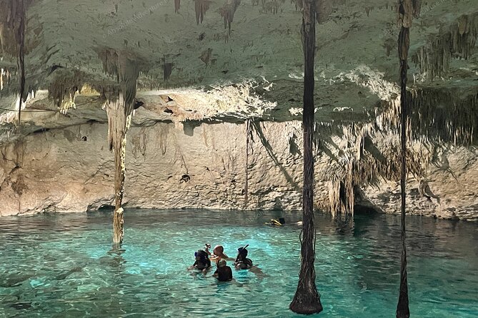 Cenotes Taak Bi Ha & Nicte Ha – VIP Snorkeling Private Tour - The short break that makes the whole day feel complete: jungle lunch