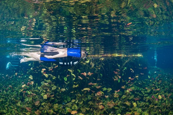 Cenotes Taak Bi Ha & Nicte Ha – VIP Snorkeling Private Tour - How the private format changes your day