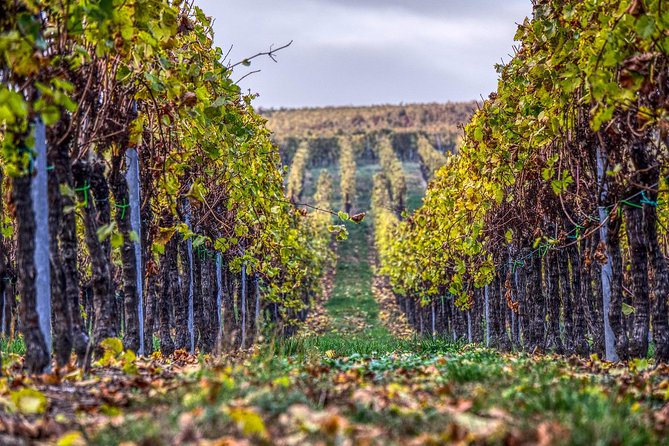 Champagne Private VIP Wine Day Trip with Michelin Lunch - Reims Cathedral, Hautvillers, and Dom Pérignon: optional extras that matter