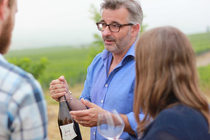 Champagne VIP Day Trip from Paris With Local PRIVATE Wine Expert Guide - Key highlights at a glance