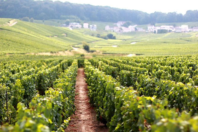 Champagne VIP Day Trip from Paris With Local PRIVATE Wine Expert Guide - First-class train, private van, and Michel’s on-the-ground connections