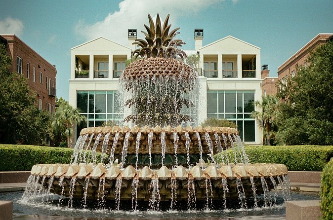 Charleston Style VIP Tour - Boone Hall Plantation or McLeod Historic Site: how to choose the right 3 hours