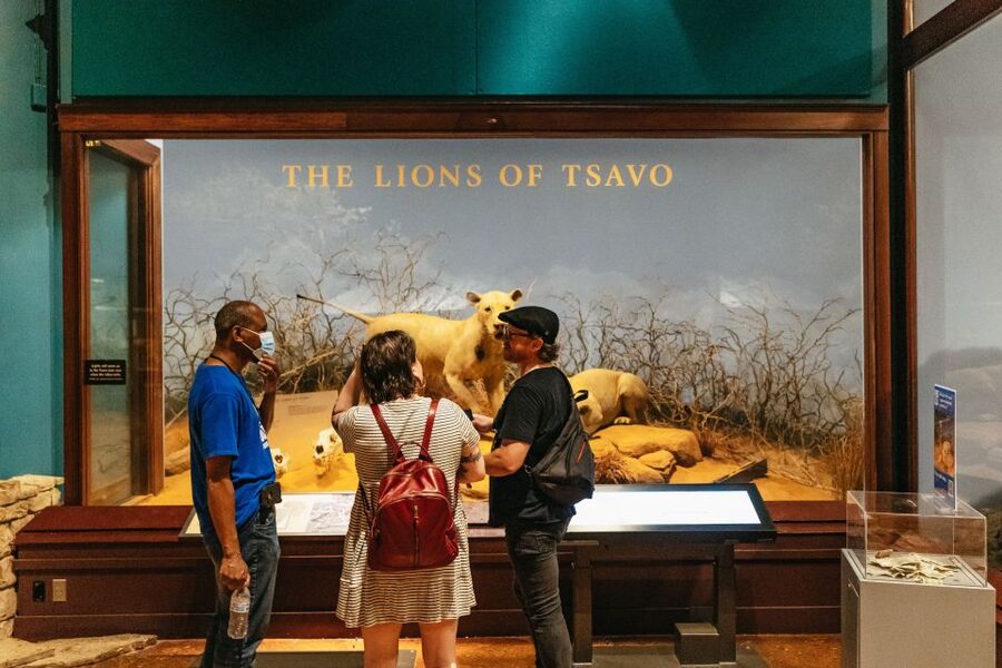 Chicago: Field Museum of Natural History Ticket or VIP Tour - Key Things That Make This Tour Feel Worth It