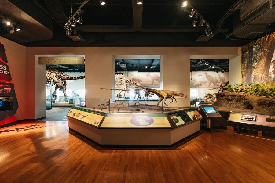 Chicago: Field Museum of Natural History Ticket or VIP Tour - The Africa Exhibit and Lions of Tsavo