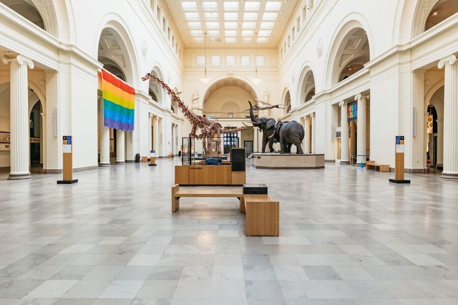 Chicago: Field Museum of Natural History Ticket or VIP Tour - Before You Go: Sue, Maximo, and the Museum’s Big Scale