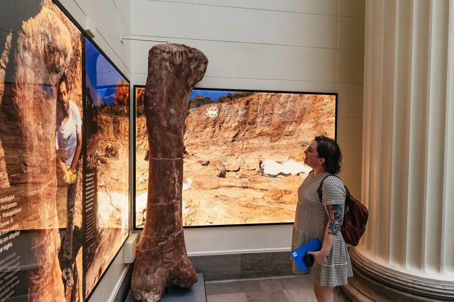 Chicago: Field Museum of Natural History Ticket or VIP Tour - Early Access VIP Tour: 60 Minutes Before the Doors Open