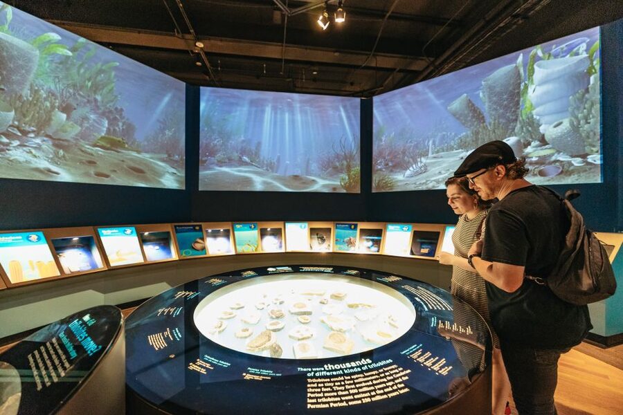 Chicago: Field Museum of Natural History Ticket or VIP Tour - Underground Adventure, Hall of Gems, and Hall of Jades