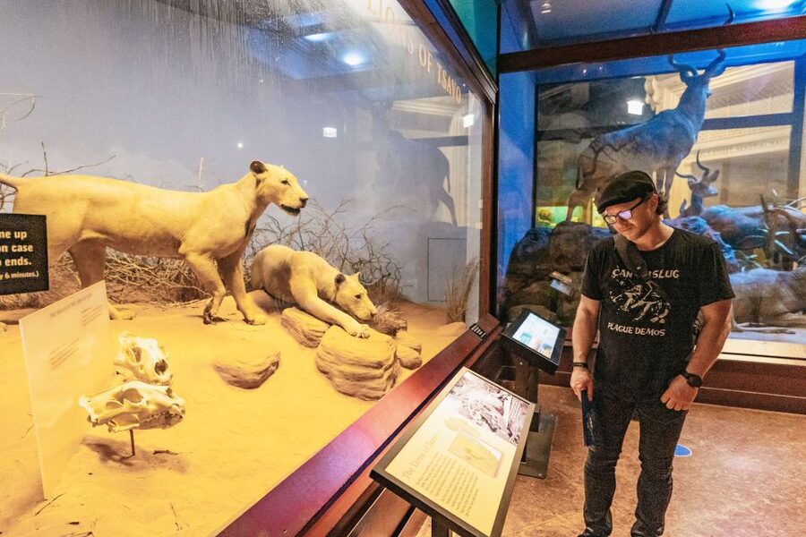 Chicago: Field Museum of Natural History Ticket or VIP Tour - Ancient Americas, Inca and Aztec, and the Ice Age Mammoth Hunters