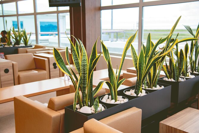 Club Mobay Sangster Airport VIP Lounge with Priority Entry - Who this suits best
