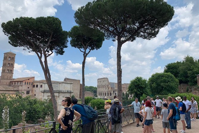Colosseum Tour with Palatine Hill and Roman Forum - Tickets, IDs, and the One Mistake to Avoid