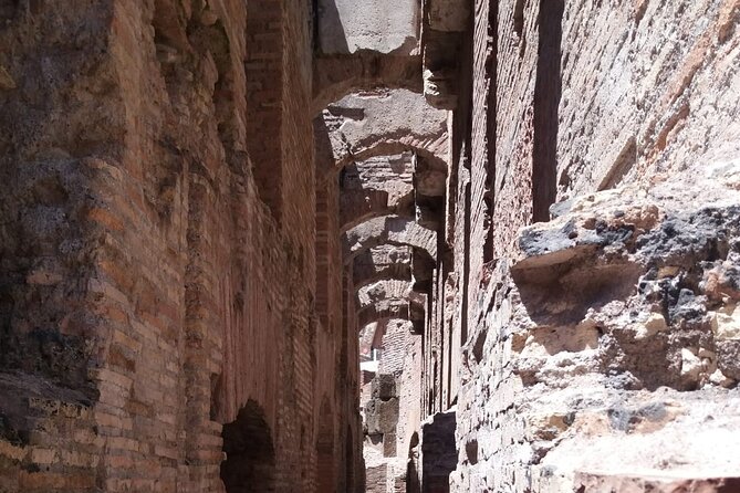 Colosseum Underground Tour With Arena Floor: Vip Experience - Why the Colosseum Underground and Arena Floor feel like a different planet