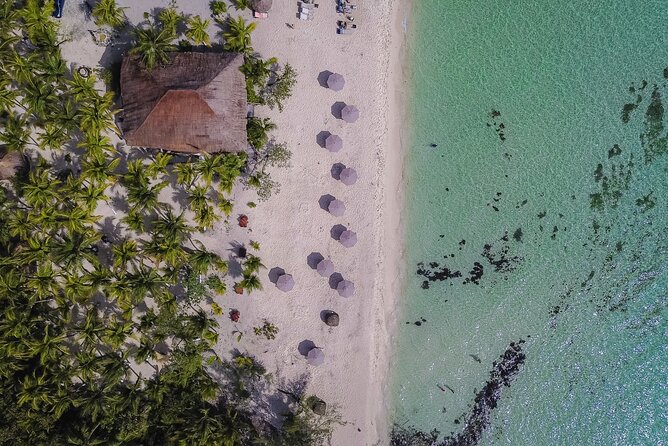 Cozumel Playa Palancar VIP All Inclusive Day Pass - Where You Meet and How to Time Your 7 Hours